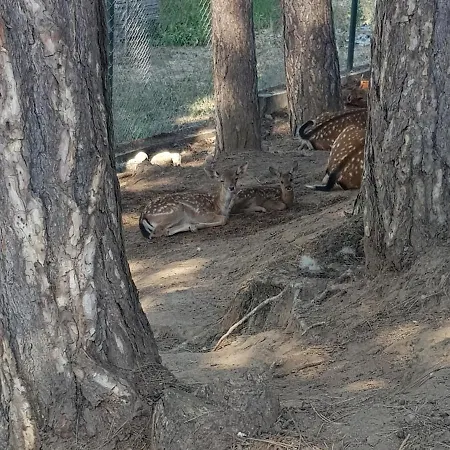 Pensjonat Wine Boutique Complex ,,hrisimov